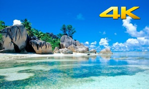 Beach TV 4K