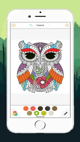 Game screenshot Cute Owl Coloring Drawing Pages for Kid mod apk