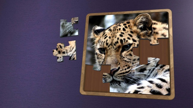 Super Jigsaws Wild Animals(圖1)-速報App