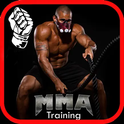 MMA Training and Fitness Cheats
