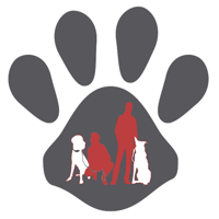 LAcadémie Des Chiens
