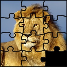 Activities of Puzzle Collection: Animals
