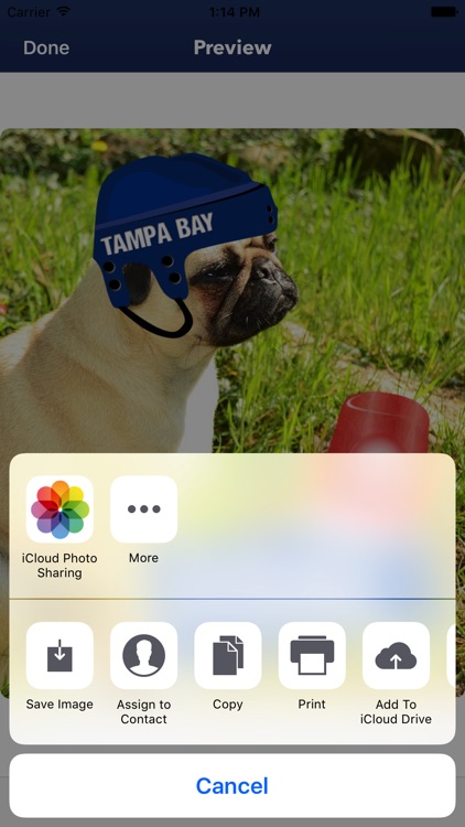 Tampa Bay Hockey Stickers & Emojis screenshot-4