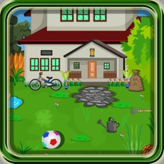 Activities of Escape Games-Backyard House