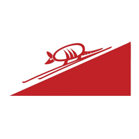 Ski Armadillo