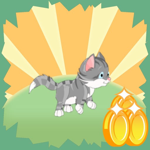 Super Kitty Adventure iOS App