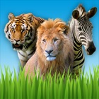 Top 50 Games Apps Like Zoo Sounds - Fun Educational Games for Kids - Best Alternatives