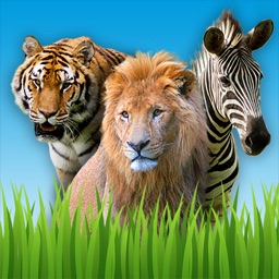 Zoo Sounds - Fun Educational Games for Kids