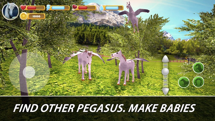 Pegasus Family Simulator