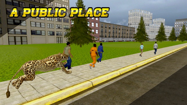 angry cheetah ready to destroy town