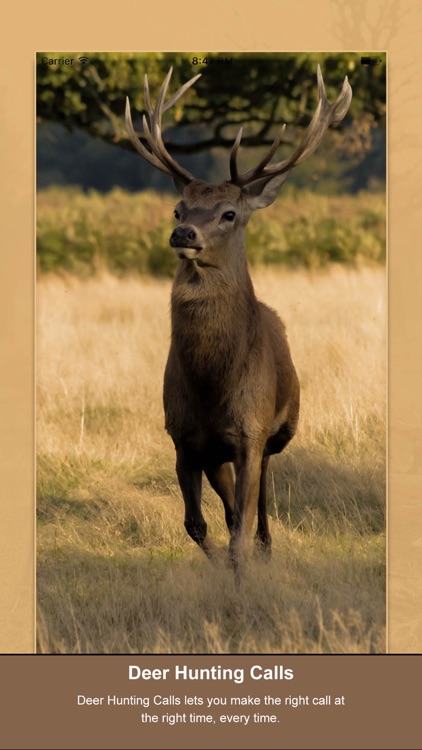 Deer Hunting Calls New