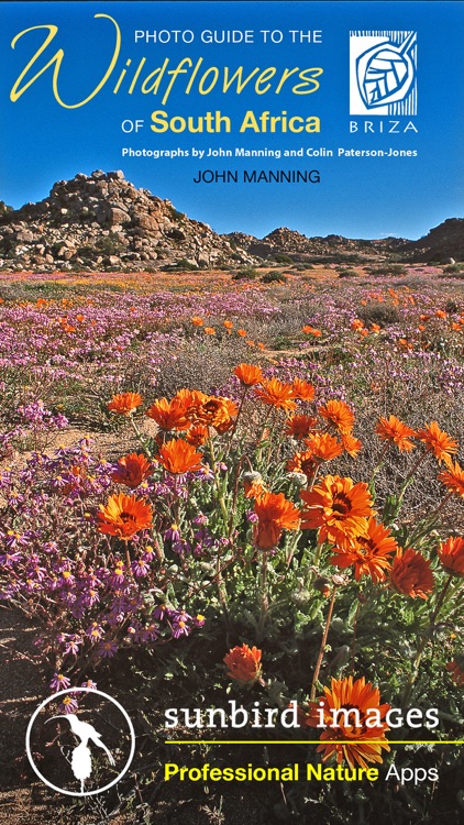 Wildflowers of South Africa, flower identification