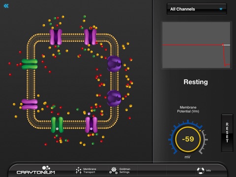 Craytonium Interactive Neurophysiology screenshot 2