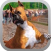 Dog Race Greyhound 3D- Dog Racing Game - Pet Show