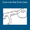 Beginner Exercise Ball Workout