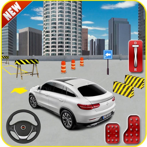 Speed Car Parking Adventure 3D icon