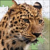 Jigsaw puzzles - Jigsaw