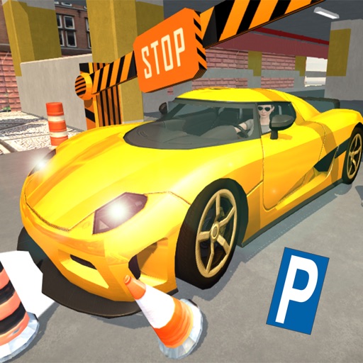 Multi Level Car Parking Sim 3D 2017 Icon