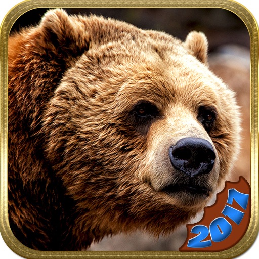 2k17 American Bear Hunter Challenge