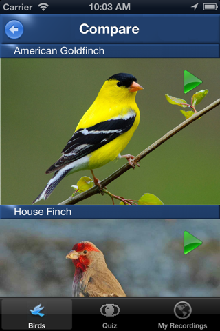 Bird Song Id USA Automatic Recognition Birds Songs - náhled