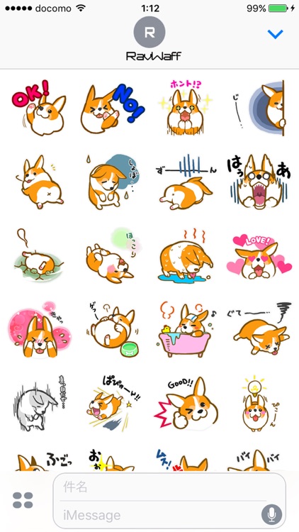 ころっころコーギー アンソニー君