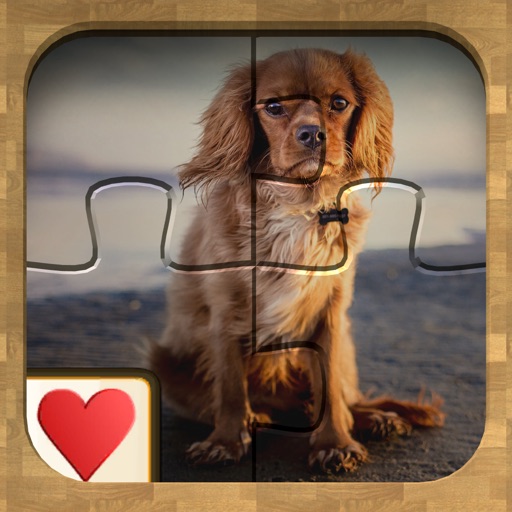 Jigsaw Solitaire Dogs icon