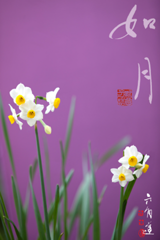 はなといろカレンダー - そよ風に揺れる美しい花たち - 2013 screenshot 2