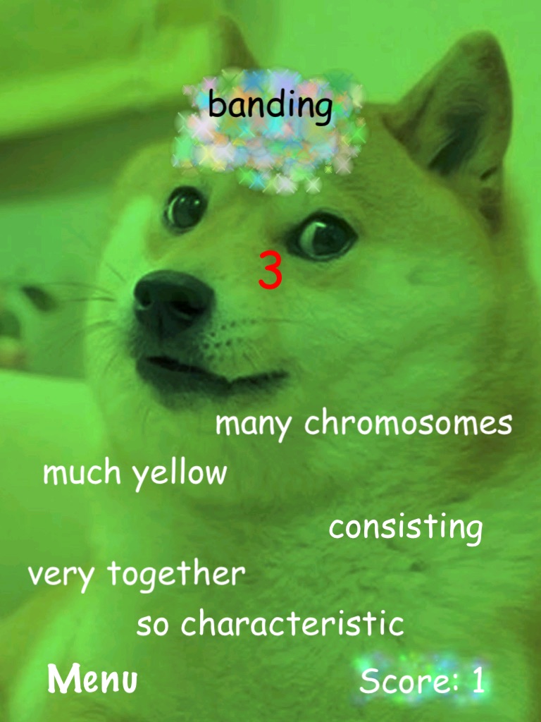 According to Doge screenshot 3