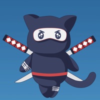 Ninja cat