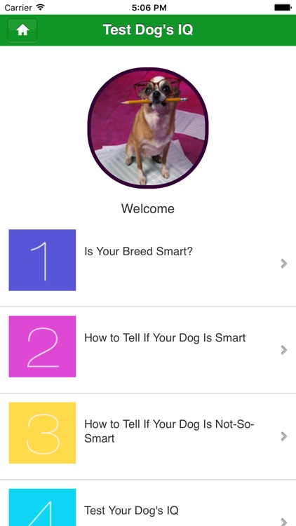 Guide for Dog Breeds IQ Test