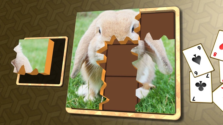 Jigsaw Solitaire Pets screenshot-3