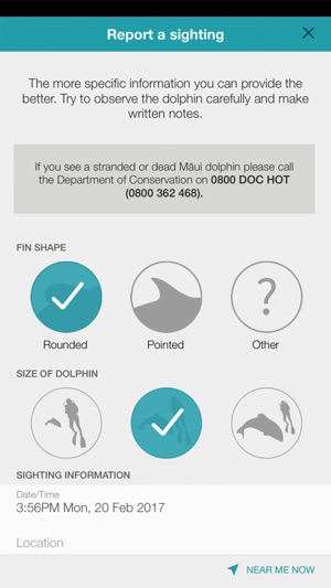 Maui Dolphin(圖4)-速報App