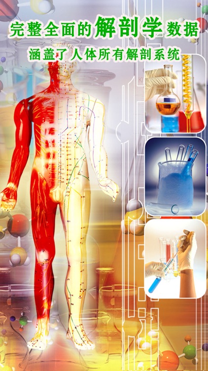 3d人体解剖生理学-人体医学肌肉解剖图谱