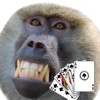 Baboon Casino 's Slot