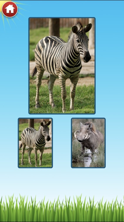 Zoo Sounds - Fun Educational Games for Kids by Tantrum Apps