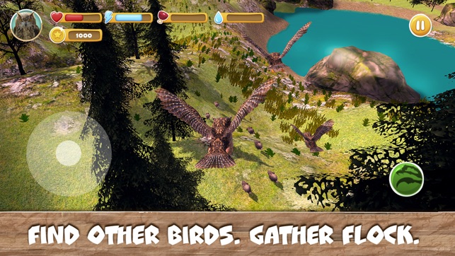 Wild Bird Survival Simulator(圖2)-速報App