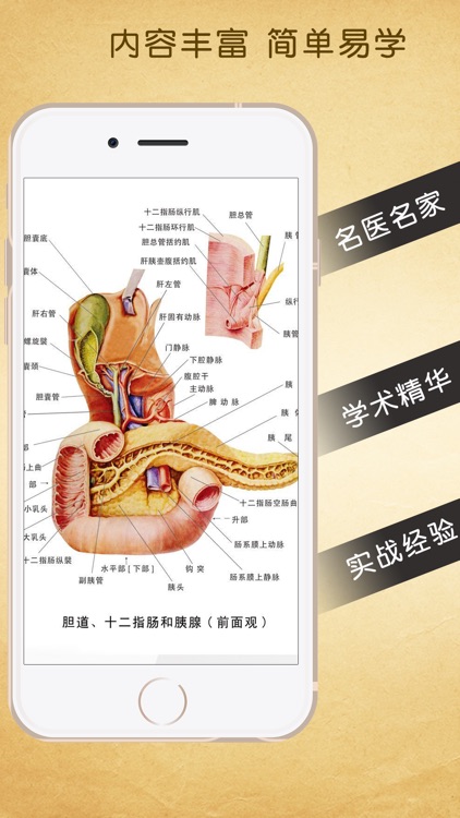 3Dbody解剖学专业版-骨骼和肌肉 screenshot-3