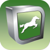 Equine Dermatology - Veterinary Advances Ltd