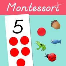 Activities of Preschool Counting - Montessori Cards And Counters