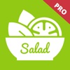 Premium Salad Recipes - cook and learn guide