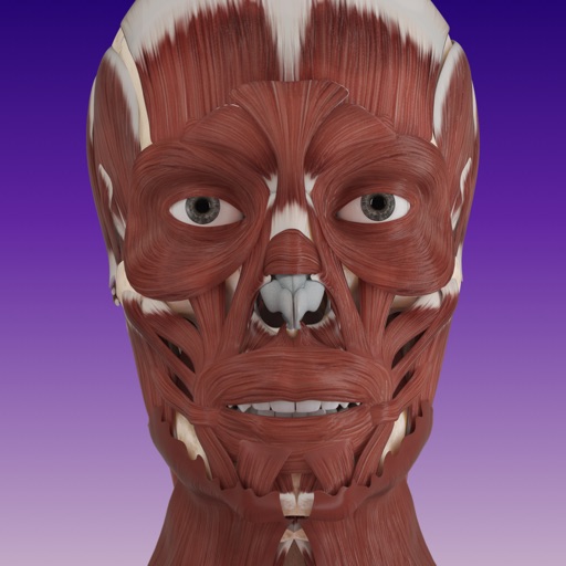 AMI Facial Anatomy iOS App