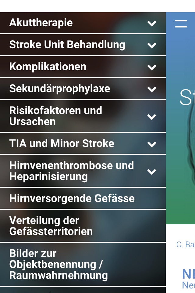 Stroke Guidelines Bern screenshot 2