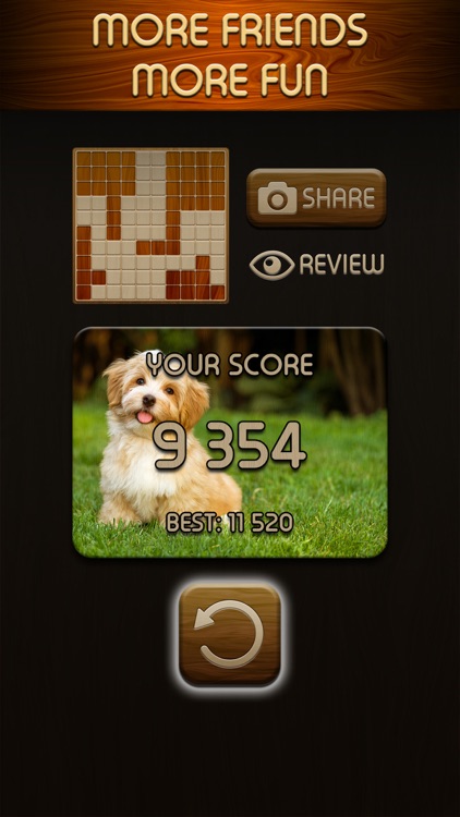 Woody Puzzle screenshot-3