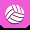 Icon Amazing VolleyBall 3D