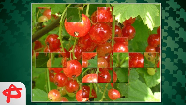 Call of Nature: Free Jigsaw Puzzle(圖5)-速報App