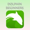 Dolphin Browser Guides For Beginners
