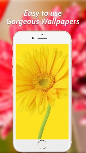 Amazing Flower Wallpapers HD(圖2)-速報App