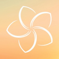 Erige - Plumeria sur PC