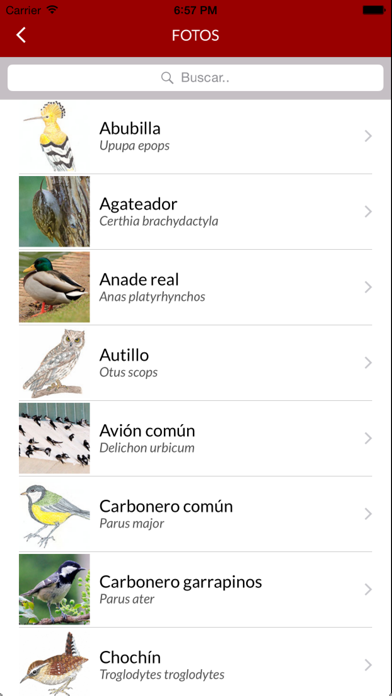 How to cancel & delete Aves Del Retiro from iphone & ipad 4