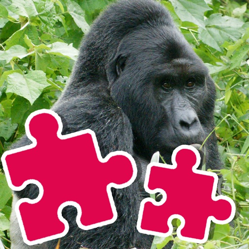 Gorilla And Friend Games Jigsaw Puzzles Version